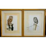 Anne Stothert (British Contemporary): Portraits of Owls, pair watercolours signed, and River Birds,