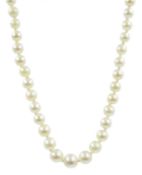 Single strand pearl necklace,