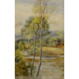 Gertrude Martineau (British 1840-1924): Birches in 'Spring near Aviemore',