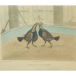 C R Stock - Set of 6 proof coloured cock fighting engravings each 21 x 24cms