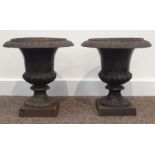 Small pair 20th century cast iron Campana shaped urns, egg and dart moulded rim, gardroon underside,