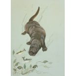 Andrew Alexander (British Contemporary): An Otter Hunting Fish,