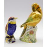 Royal Crown Derby 'Sun Parakeet' paperweight and another 'Bee Eater',