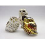 Three Royal Crown Derby paperweights, 'Imari Owl', 'Little Owl' and Little Grey Owl',