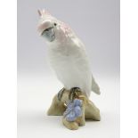 Royal Dux figure of a cockatoo H18cm Condition Report & Further Details <a