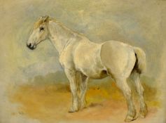 William Woodhouse (British 1857-1939): Study of a Grey Horse,