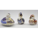 Royal Crown Derby 'Duck' paperweight and 2 'Duckling' paperweights,