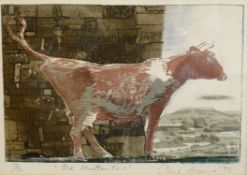 Piers Browne (British 1949-): 'The Shorthorn Cow', limited edition coloured etching no.