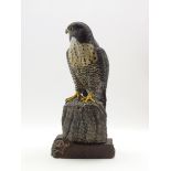 Mike Wood (b1943) - Carved and painted model of a Peregrine Falcon, inscribed on the base 2/99,