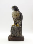 Mike Wood (b1943) - Carved and painted model of a Peregrine Falcon, inscribed on the base 2/99,