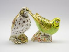Royal Crown Derby paperweight 'Spangled grey green Budgerigar' limited edition 368/1000 with