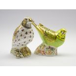 Royal Crown Derby paperweight 'Spangled grey green Budgerigar' limited edition 368/1000 with