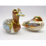 Two Royal Crown Derby paperweights 'Duck' collectors guild,