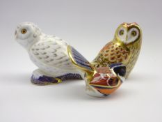 Three Royal Crown Derby paperweights - 'Short Eared Owl' Guild exclusive 2008,