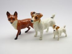 Beswick Jack Russell terrier No. 2023, a small Jack Russell No. 2109 and a Beswick fox No.
