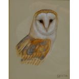 Robert Fuller (British 1972-): 'Barn Owl', watercolour signed and dated 2000,