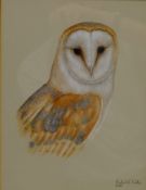 Robert Fuller (British 1972-): 'Barn Owl', watercolour signed and dated 2000,