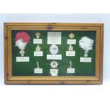 Framed presentation display of ten Staybrite military badges including Argyll & Sutherland