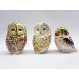 Three Royal Crown Derby paperweights 'Tawny Owl',