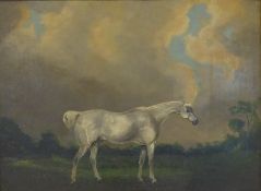 English School (19th century): Portrait of a Grey Stallion,