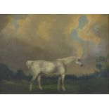 English School (19th century): Portrait of a Grey Stallion,