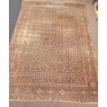 Large antique Persian Tabriz design ground rug, repeating floral design on red field,