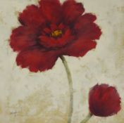 English School (Contemporary): Sill Life of Poppies,