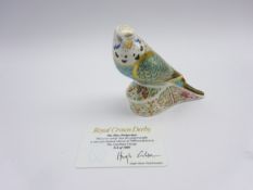Royal Crown Derby limited edition paperweight 'Sky Blue Budgerigar' No 314/1000, with certificate,