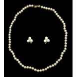 Single strand cultured pearl necklace,