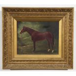 Late C19th/ Early C20th British Study of Mare oil on canvas 20 x 24cm