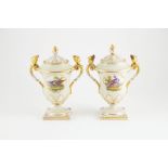 Pair Chamberlains Worcester Urn & Covers painted with cartouche of exotic birds and scattered