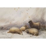 Manner of T S Cooper (British) Grazing Sheep watercolour bears signature (lower right) 22 x 32.5cm