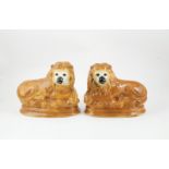 Large Pair Staffordshire Type Reclining Lions 28cm length