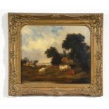 C19th British Grazing Cattle with Farmhouse at Rear oil on canvas 50 x 59cm
