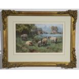 Walter Bothams (British 1850-1940) Sheep in Spring Pastures gouache signed (lower right) 20 x 33.5cm