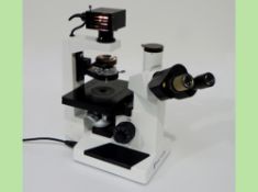 Fisher Scientific Inverso 3600.0000 Inverse Binocular Microscope, serial number 066286 (Ref:
