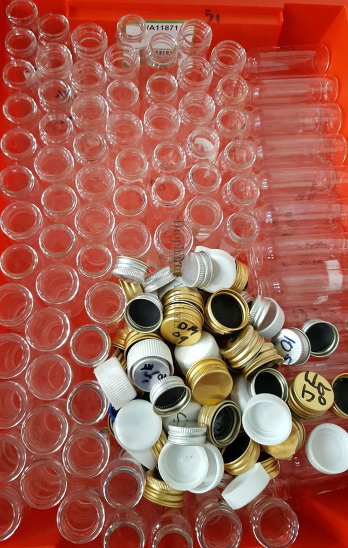 Quantity of glass screw top bottles and caps (Ref: WA11871)