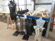 Quantity of assorted mannequins and stands