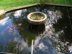 Contents of Pond to include Water Feature, Plants & approx 20 Various KOI Carp *A work Method