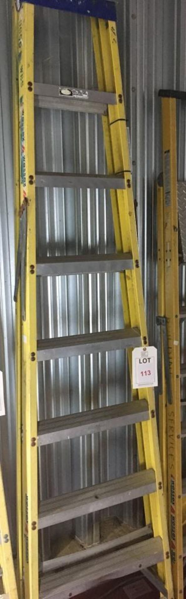 Clow 7 tread fiberglass ladder