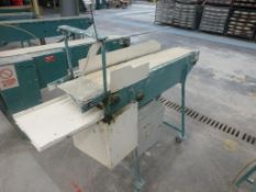 Sevice Engineers conveyorised clay cutter, 1350 x 230mm belt size, Plant No FSC14