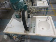 Pebblevale vertical belt sponging machine, plant No SBLT3 with integral sink