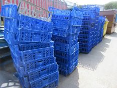 Quantity of plastic trays and dollies