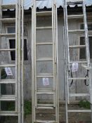 Set of Triple Extending Ladders 2400mm each section