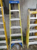 Set of Werner Fibreglass 5 Rung Swing Back Step Ladders