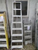 Set of Werner 7 Rung Aluminium Swing Back Step Ladders