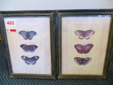 Two matching framed prints 'Butterflies'