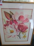 Framed print by W Fitch Magnolia Campbellii