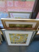 Eight large framed prints of flower & fruits as lotted