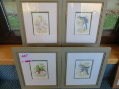 Four matching framed prints of birds